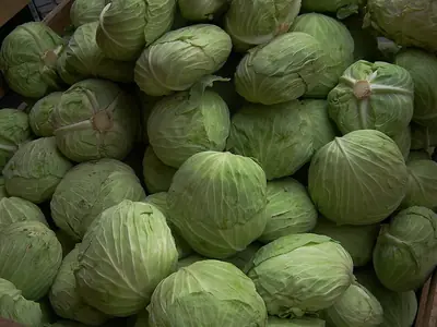 Heads of green cabbage piled for sale