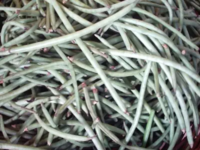 Long green cowpea pods