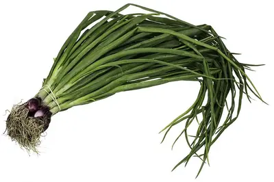 A bunch of red spring onions