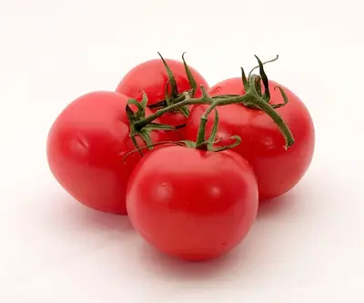 A truss of ripe red tomatoes